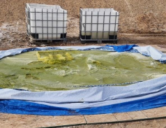 Picture of dismantled untreated pool using ESM methods