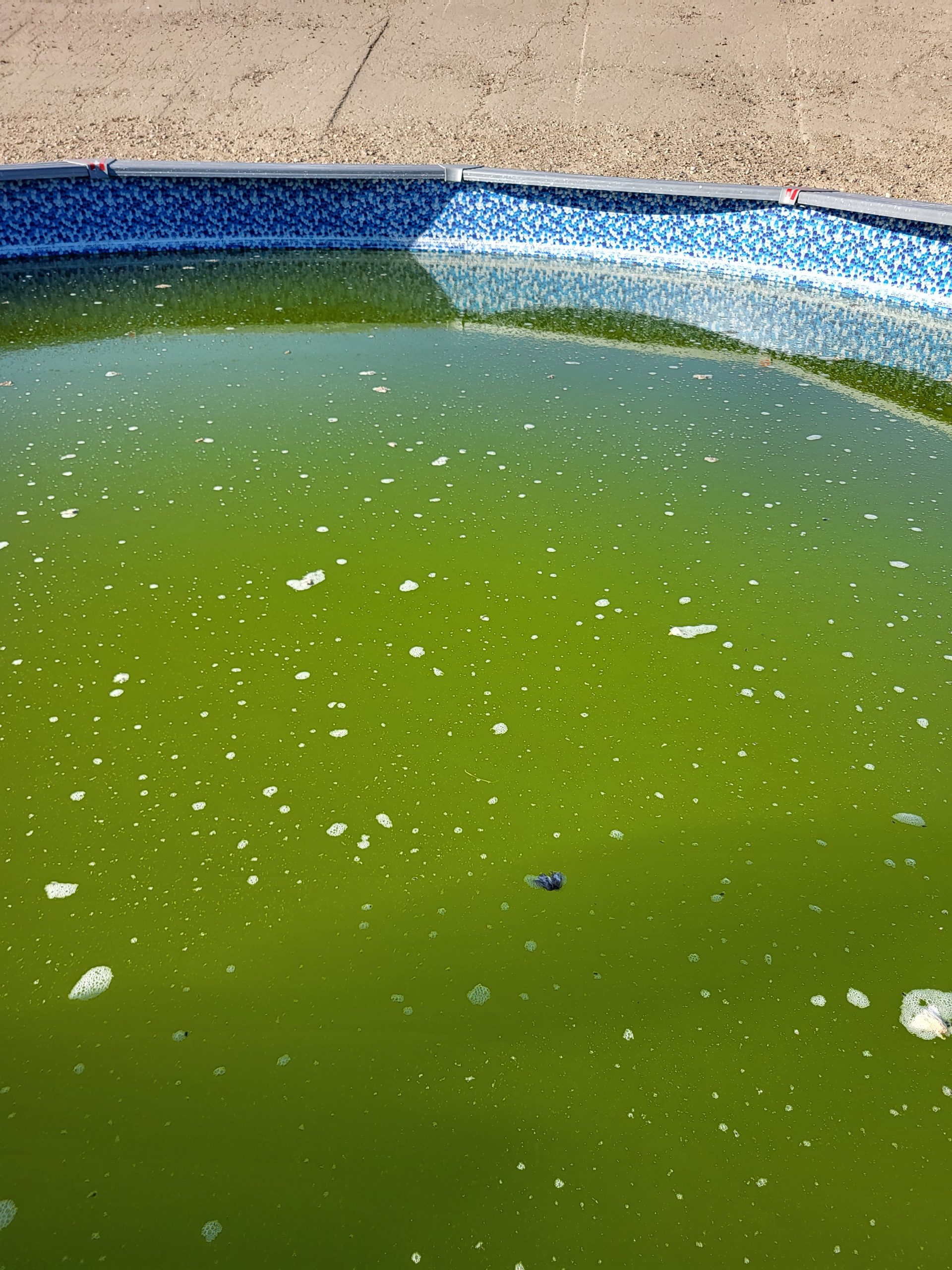 Picture of test after one week