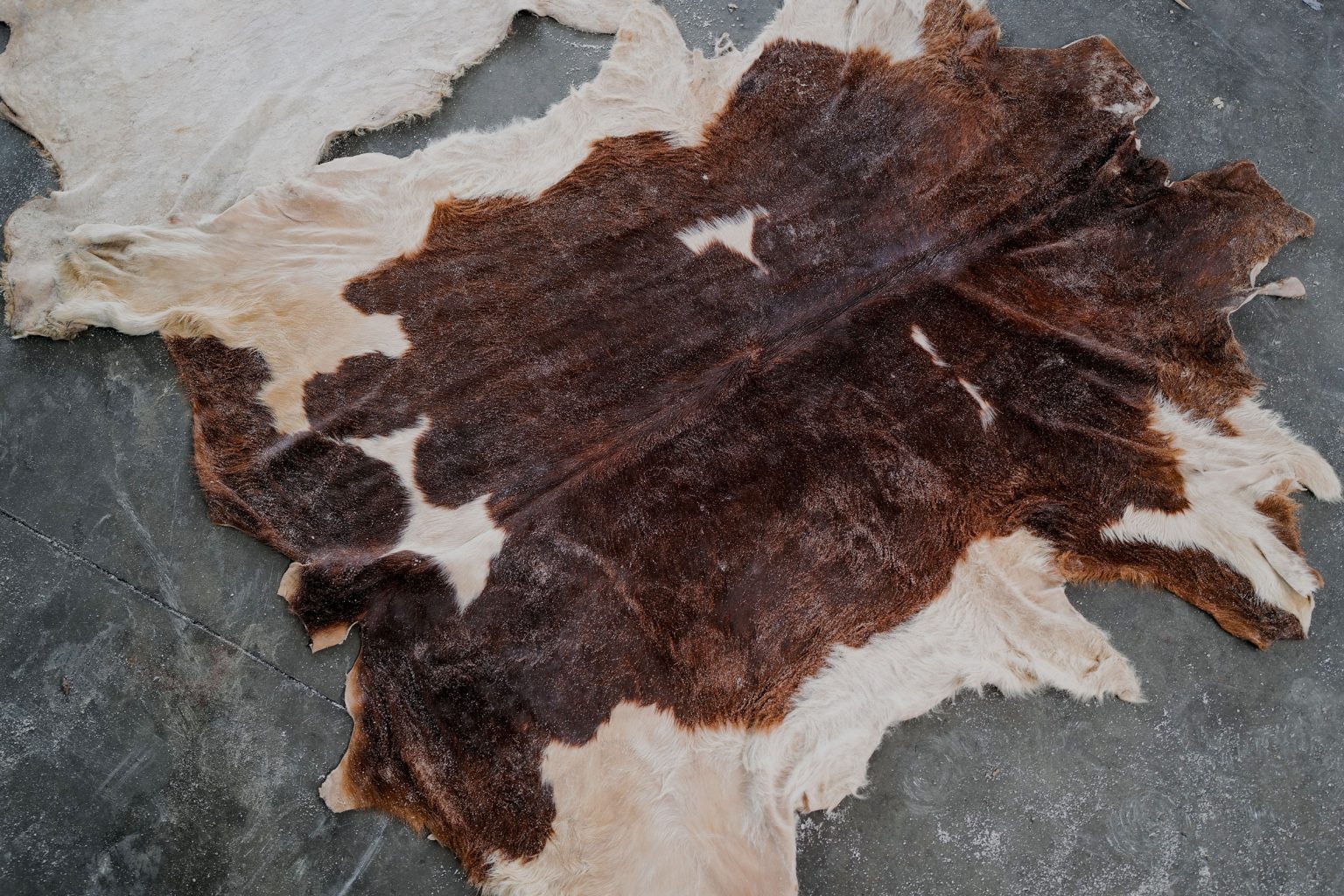Salt Cured Hides